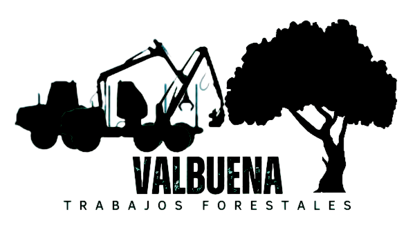 logo trabajos forestales valbuena-Photoroom